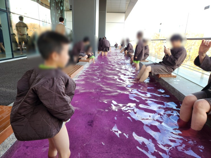  [아쿠아필드-안성] 안성아쿠아필드&카페드아쿠아 다녀왔어요! 5살 아들과