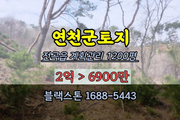 연천군 토지 경매 전곡읍 계획관리 농지 1200평 경기북부 1억이하