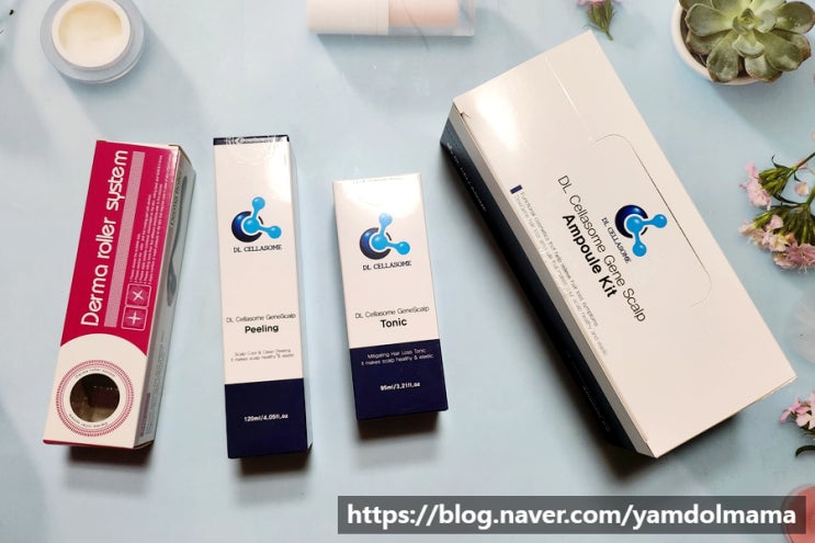  두피케어 탈모제품 추천 디엘셀라좀 진 스칼프 케어세트