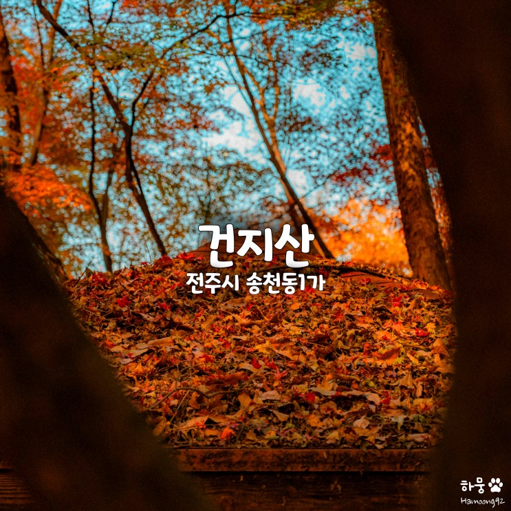  전북 전주 애견동반산책로 건지산 오송제, 가을단풍명소 현황