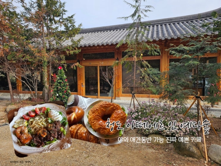  청도카페 추천합니다 야외 애견 동반 가능 "아떼에르 인 예다숲"