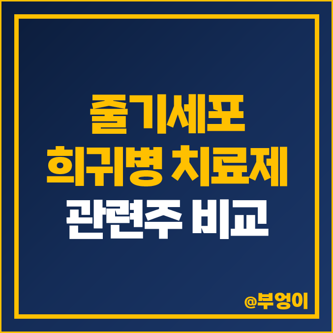 줄기세포 관련주 희귀병 치료제 주식 강스템바이오텍 파미셀 주가 줄기세포 관련주 희귀병 치료제 주식 강스템바이오텍 파미셀 주가