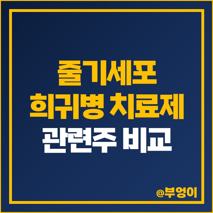 줄기세포 관련주 희귀병 치료제 주식 강스템바이오텍 파미셀 주가