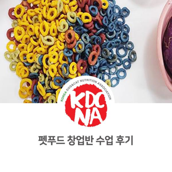  NO.1104 펫푸드 창업반 수업 후기