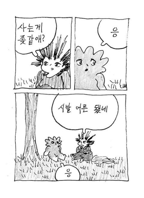  내년까지 주짓수를 쉬게 되었습니다 (+더보기)
