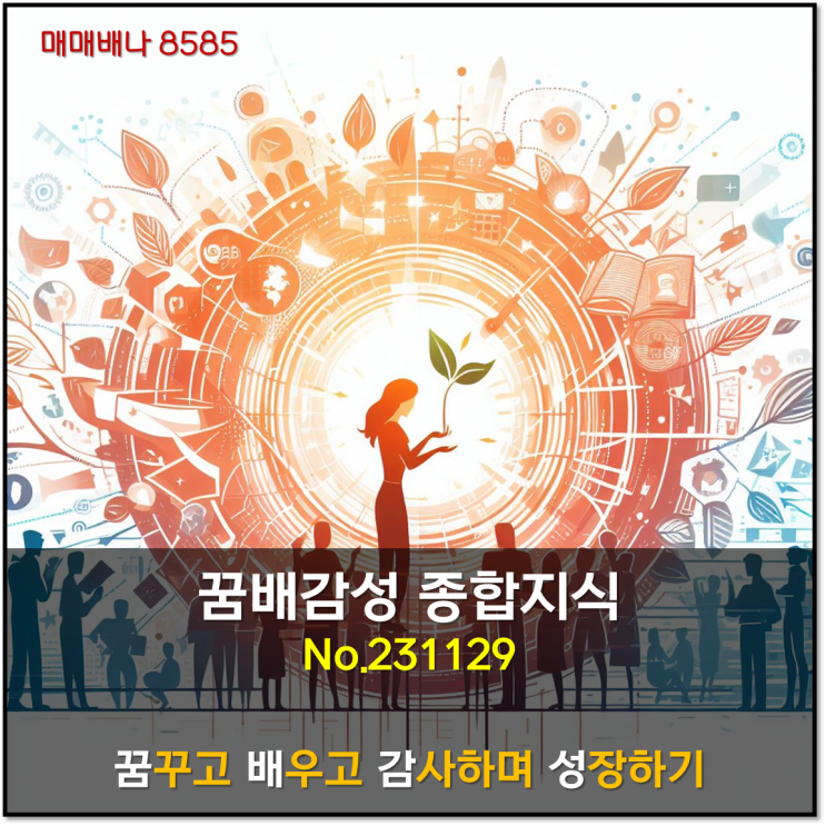 꿈배감성 종합지식 (231129)