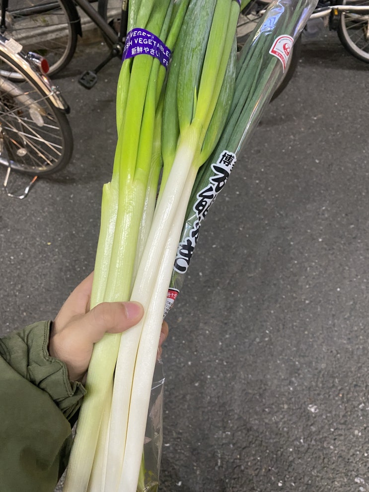  [週間の日記] 일본에 왔는데 일본인 친구가 없다