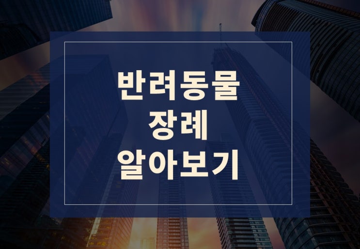  반려동물 장례는 어떻게 해야될까?