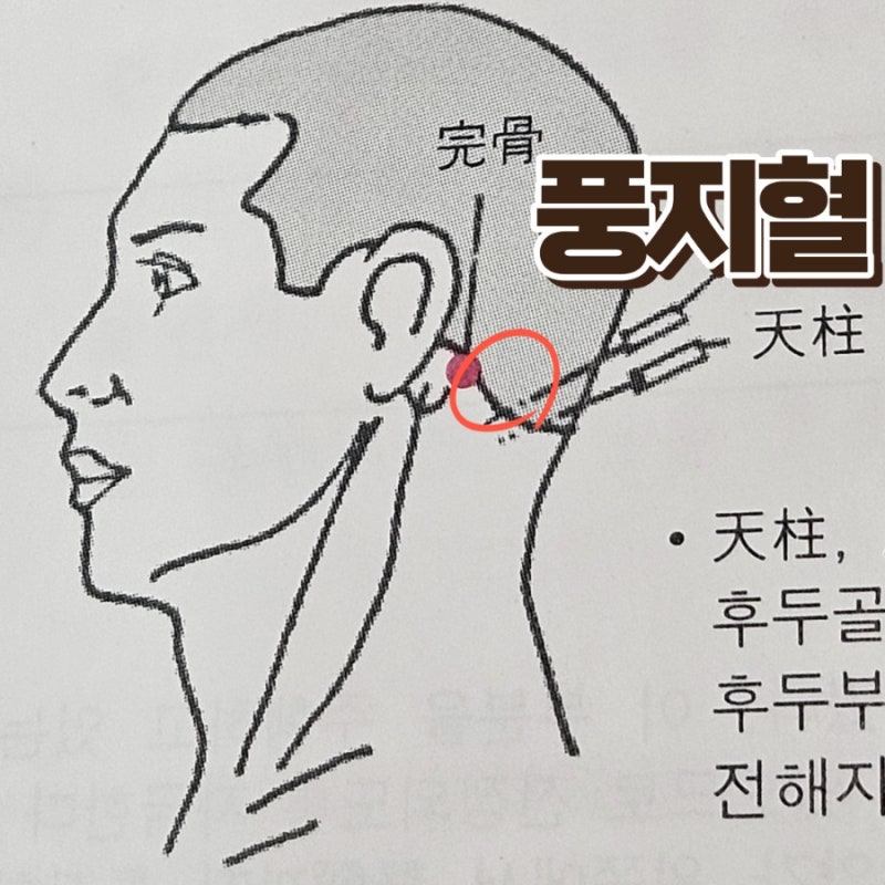 두통 혈자리 두통 완화에 좋은 지압법 : 네이버 블로그