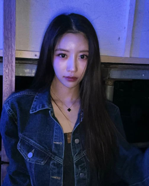 여자 연예인 데일리 목걸이로 사랑받는 명품 쥬얼리 브랜드 반클리프 앤 아펠 시그니처 라인 알함브라 네잎클로버 목걸이 추천
