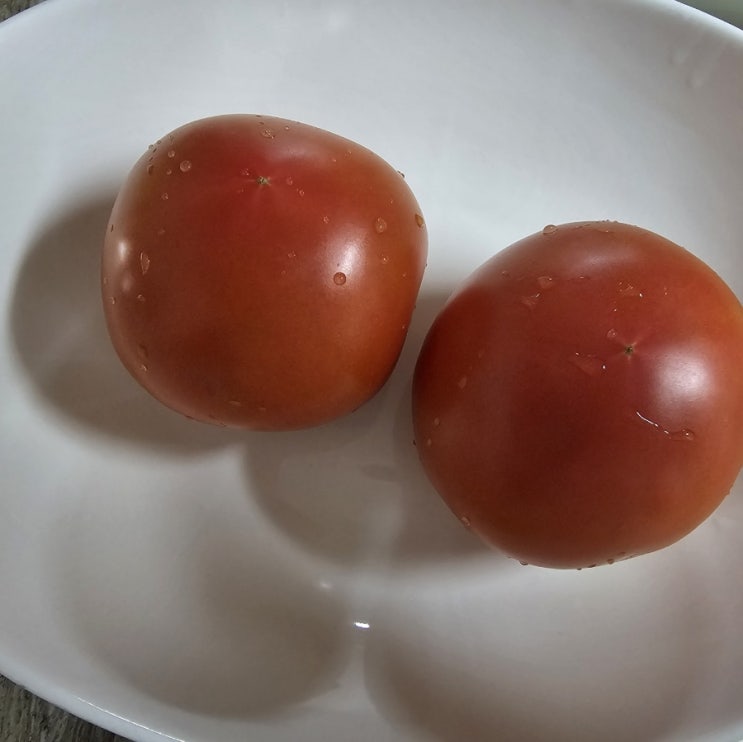  초간단 토마토 샐러드(알롤로스 & 발사믹크림)