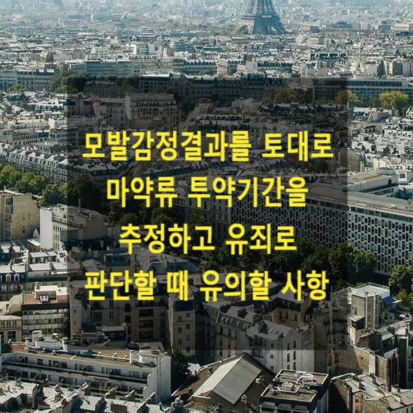  모발감정결과를 토대로 마약류 투약기간을 추정하고 유죄로 판단할 때 유의할 사항