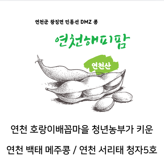  연천콩 메주콩 대원콩 서리태 콩선별 택배 직거래