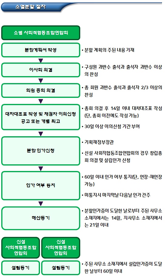 사회적협동조합연합회 존속분할, 소멸분할 절차