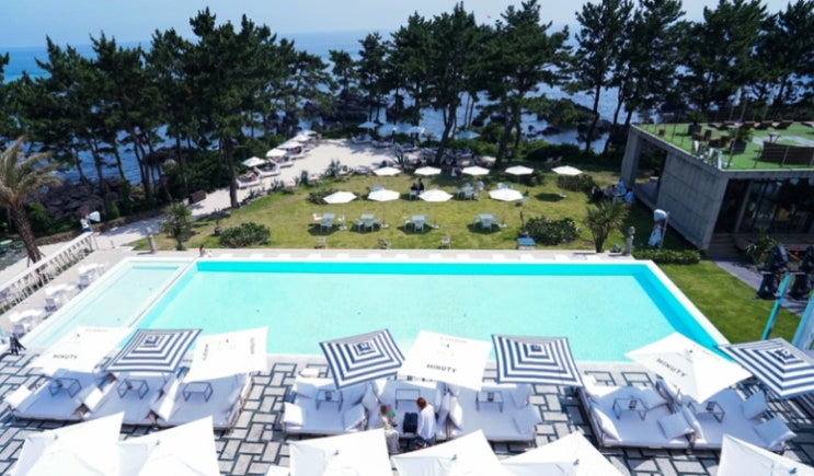  제주도 애견동반 카페 알아보기, 추천