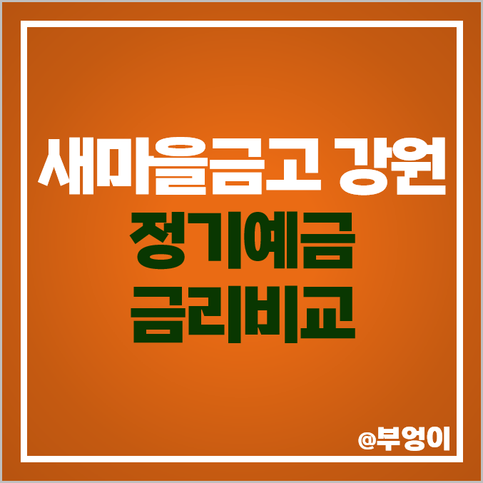 강원도 새마을금고 정기예금 금리 비교 강릉 동해 양구 철원 특판 추천 강원도 새마을금고 정기예금 금리 비교 강릉 동해 양구 철원 특판 추천