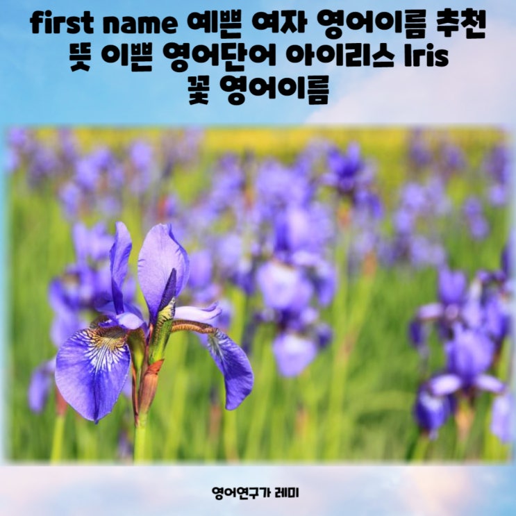 first name 예쁜 여자 영어이름 추천 뜻 이쁜 영어단어 아이리스 Iris 꽃 영어이름