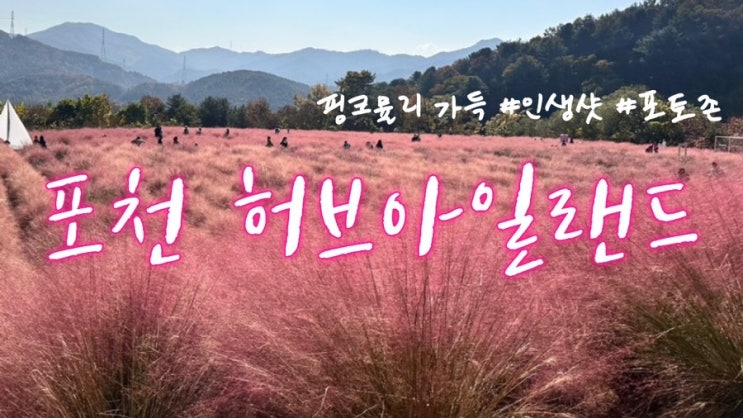  주말 나들이 포천 허브아일랜드; 핑크 속으로