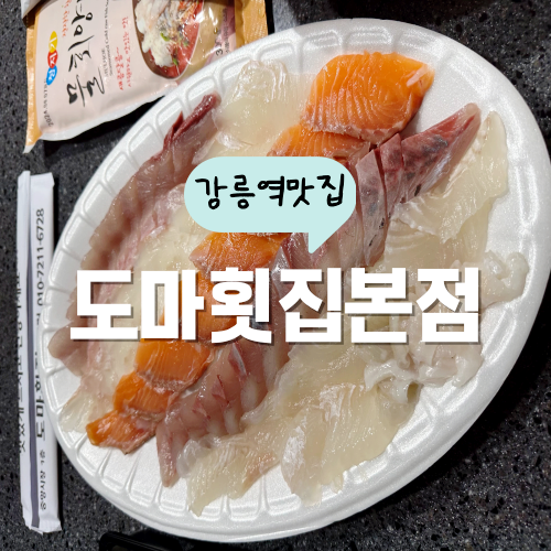 강릉중앙시장회센터 도마횟집본점 저렴한 곳 강릉중앙시장회센터 도마횟집본점 저렴한 곳
