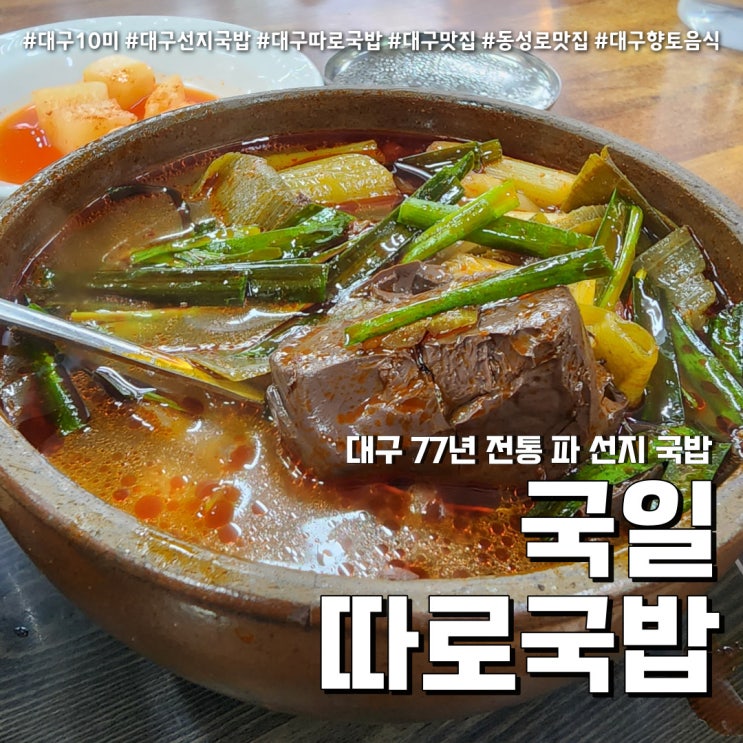  국일따로국밥 대구 77년 전통 선지국밥 (feat. 대통령 방문 동성로맛집 )