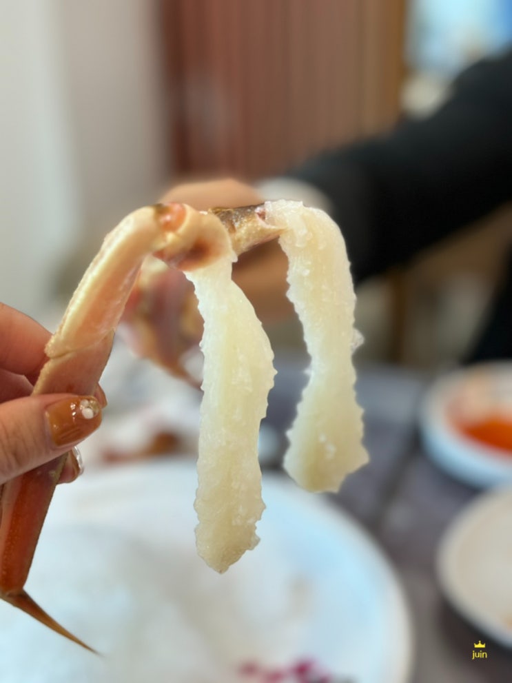가성비 끝판왕 영덕 대게맛집이였던 강구항 대게직판장 이오