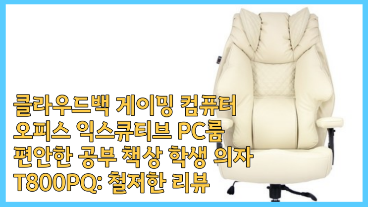  클라우드백 게이밍 컴퓨터 오피스 익스큐티브 PC룸 편안한 공부 책상 학생 의자 T800PQ: 철저한 리뷰