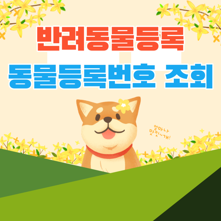  반려동물등록 및 동물등록번호 조회 총정리!