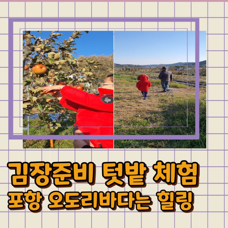 김장재료 준비 텃밭 체험 오도리해수욕장 겨울바다 힐링