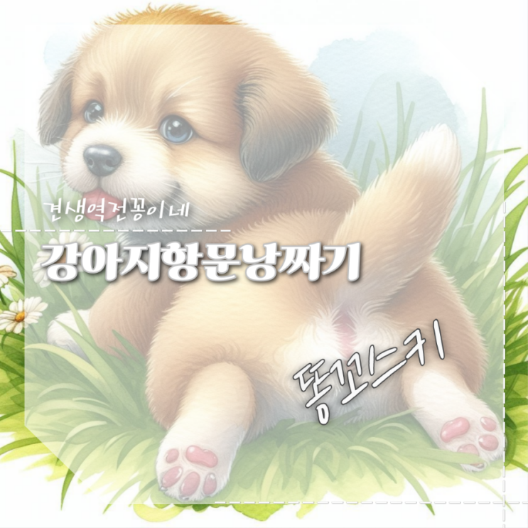  강아지항문낭 주기 똥꼬 스키 이유 짜기방법