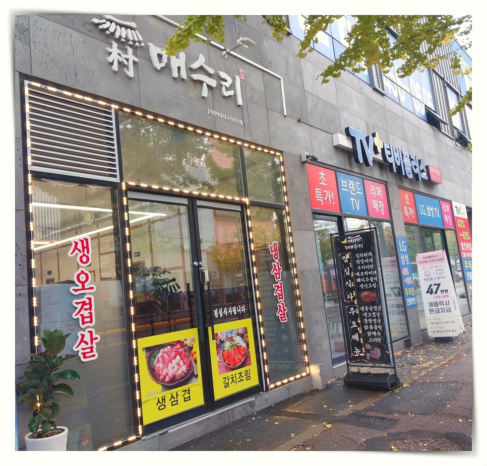 매수리 사진 2