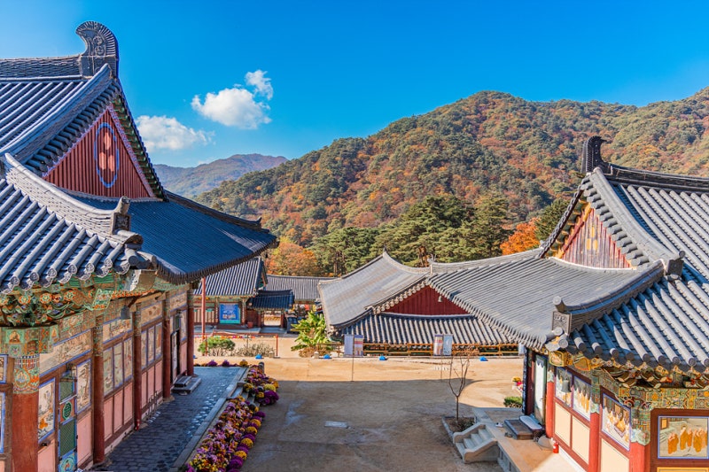 해인사 사진 6