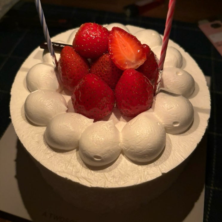  밀린 일상 정리