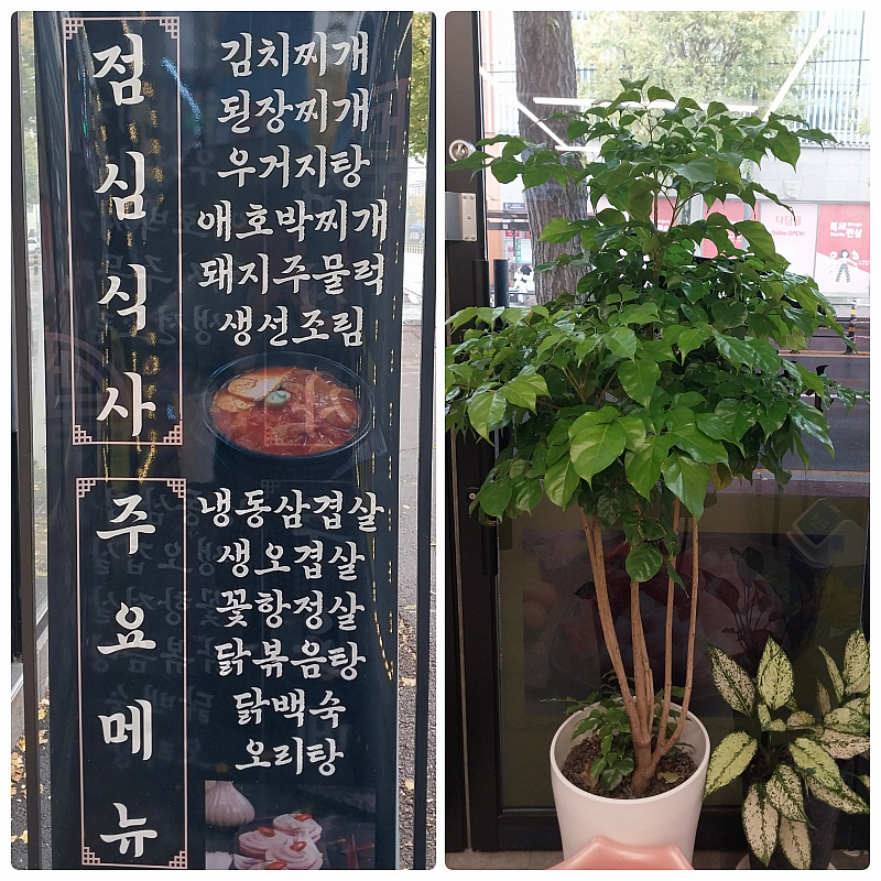 매수리 사진 3