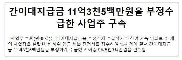 간이대지급금 11억3천5백만원을 부정수급한 사업주 구속 간이대지급금 11억3천5백만원을 부정수급한 사업주 구속