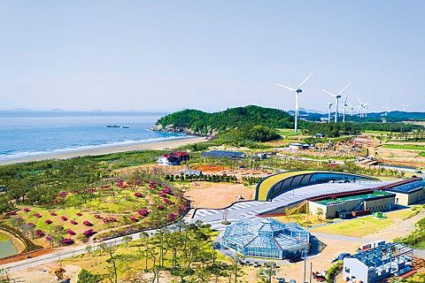 뮤지엄비치캠프 이미지