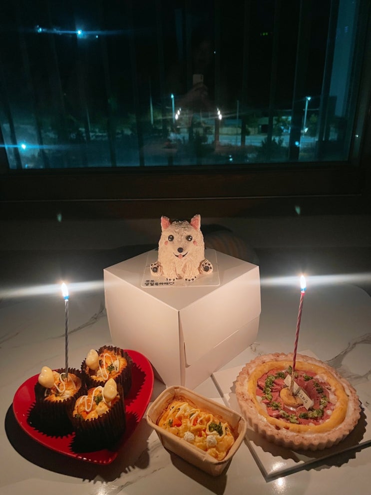  울산강아지케이크 멍꼬미 가성비좋은 반려동물 입체케이크 전문점