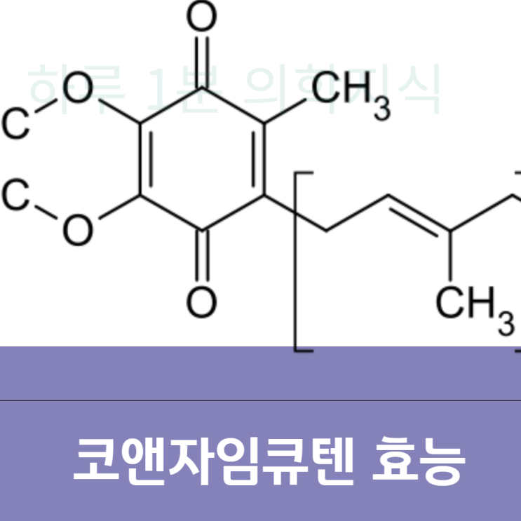  코앤자임큐텐 효능 복용법 : 미토콘드리아 생산