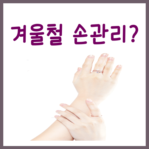  겨울철 손관리? 저는 딱 이 '3가지'만 해줍니다