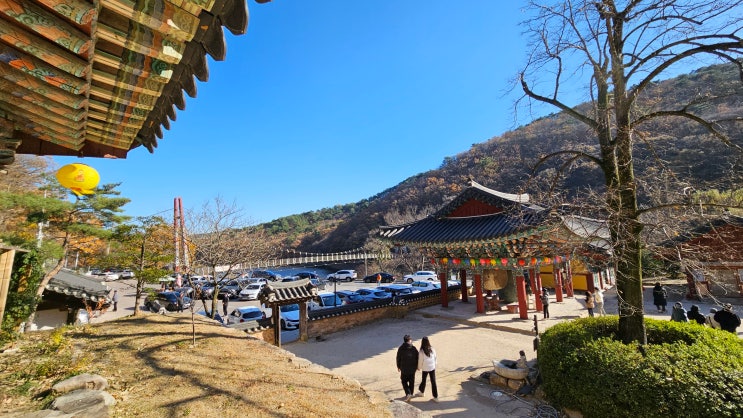 포항 가볼만한 곳 '오어사' 솔직 후기 -포항단풍명소/포항오어사/오어지둘레길/포항드라이브코스/원효교