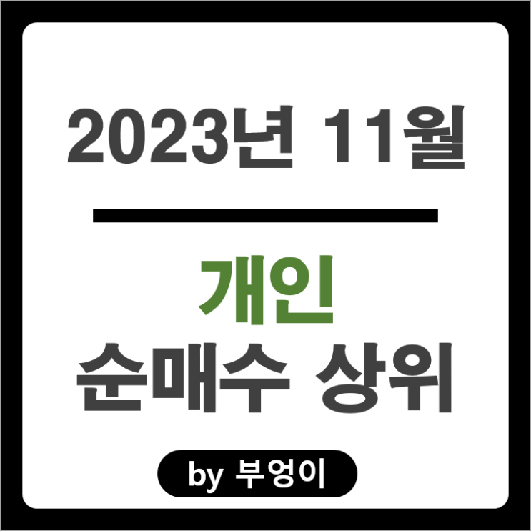 11월 개인 순매수 상위 국내 주식 에코프로머티 포스코 주가