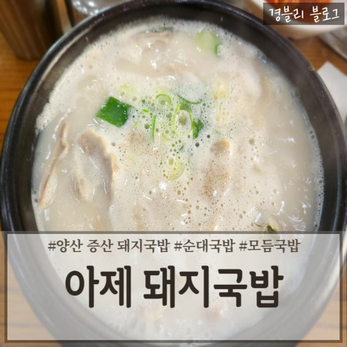  양산 증산 매스컴에서 극찬한 소문난 국밥 맛집 '아제돼지국밥 양산물금점'