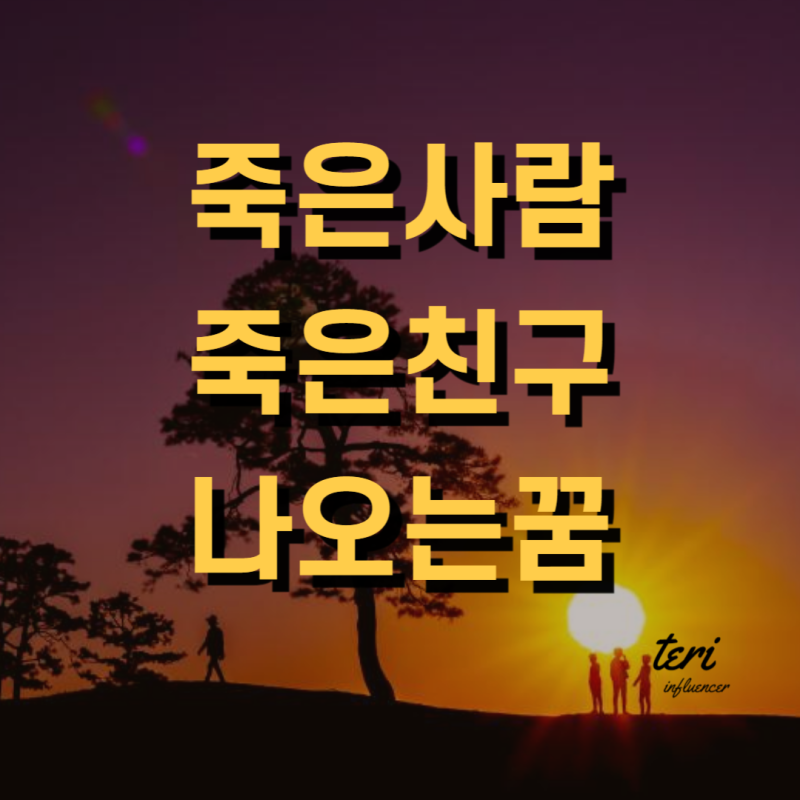 죽은 사람이 친구가 나오는꿈 죽은사람과 얘기하는꿈 죽은사람이 나타나는 죽음과 관련된 ....
