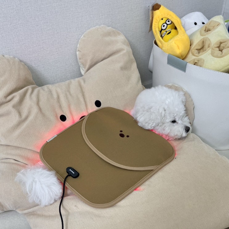  퍼핑 강아지 근적외선 패드 패드형 내돈내산 솔직 후기