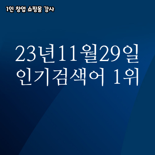  2023년 11월 29일 네이버쇼핑 분야별 인기 검색어 1위