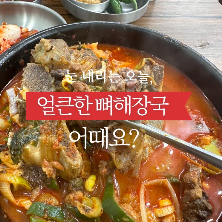  동대문 청량리역 뼈해장국 맛집 아침부터 새벽까지 운영하는 가성비 좋았던 호감해장