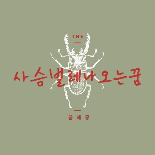 사슴벌레나오는꿈 색깔 상태에 따라 달라요
