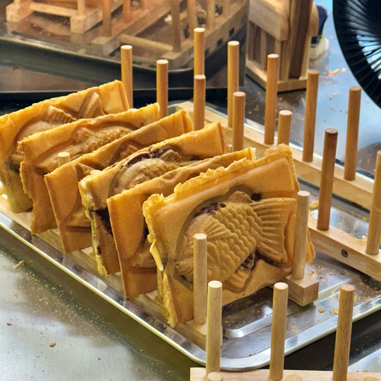  강릉 슈크림 붕어빵 & 이색붕어빵 맛집 | 노랑문구