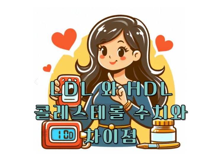  콜레스테롤은 몸에좋다? LDL, HDL, 고지혈증 수치