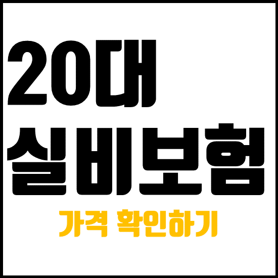 20 대의 실제 비용 보험료를 확인하고 알기 -제대로 준비하는 방법을 확인하십시오.