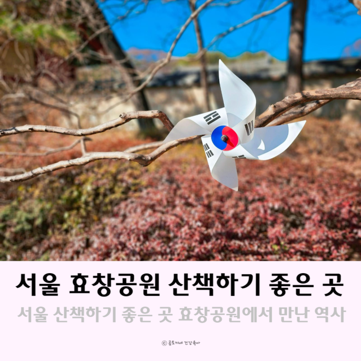 서울 산책하기 좋은곳 효창공원 산책로에서 만난 역사 서울 산책하기 좋은곳 효창공원 산책로에서 만난 역사